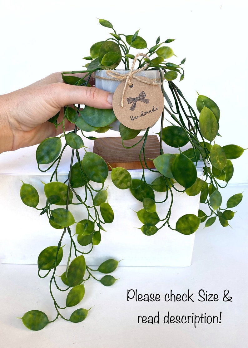 Puede incluir: Una peque&ntilde;a planta en maceta con enredaderas colgantes, la maceta es de hormig&oacute;n y tiene una etiqueta de papel marr&oacute;n con un lazo y la palabra "Handmade". La planta est&aacute; sobre un soporte de madera.