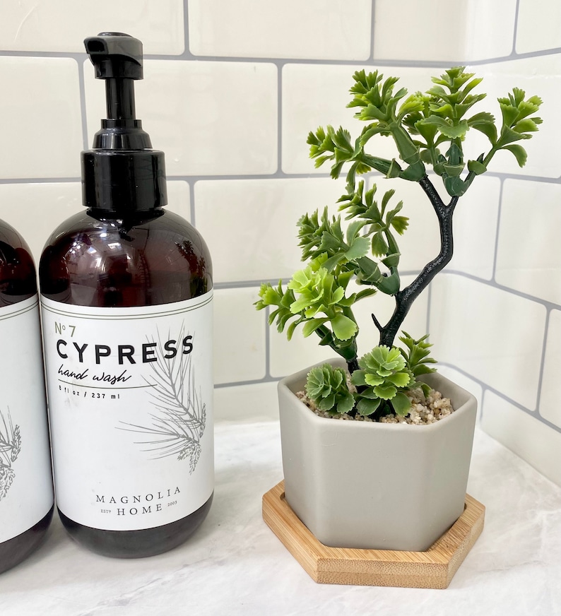 May include: Two brown glass bottles with pumps labeled "No. 7 Cypress hand wash 8 fl oz / 237 ml Magnolia Home" and a small gray hexagonal planter with a green succulent plant on a wooden coaster.