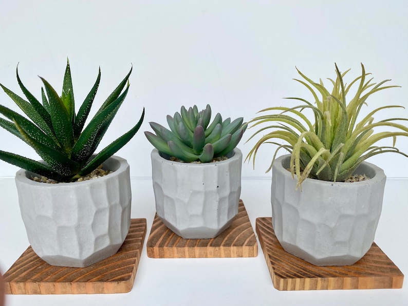 May include: Three small potted succulents in geometric gray concrete planters sit on square wooden bases. The plants include a spiky green aloe, a blue-green succulent, and a wispy green plant.