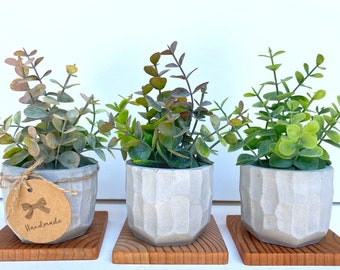 Artificial Eucalyptus Plant in handmade textured Concrete Pot with Wood Tray - available in Pink, Purple or Green, Faux Plant