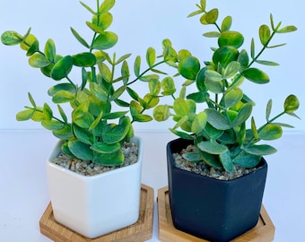 Small Artificial Eucalyptus Plant in white or black Hexagon Pot with Bamboo Tray, Floating Shelve Decor, Kitchen Counter Deco, RV Decoration