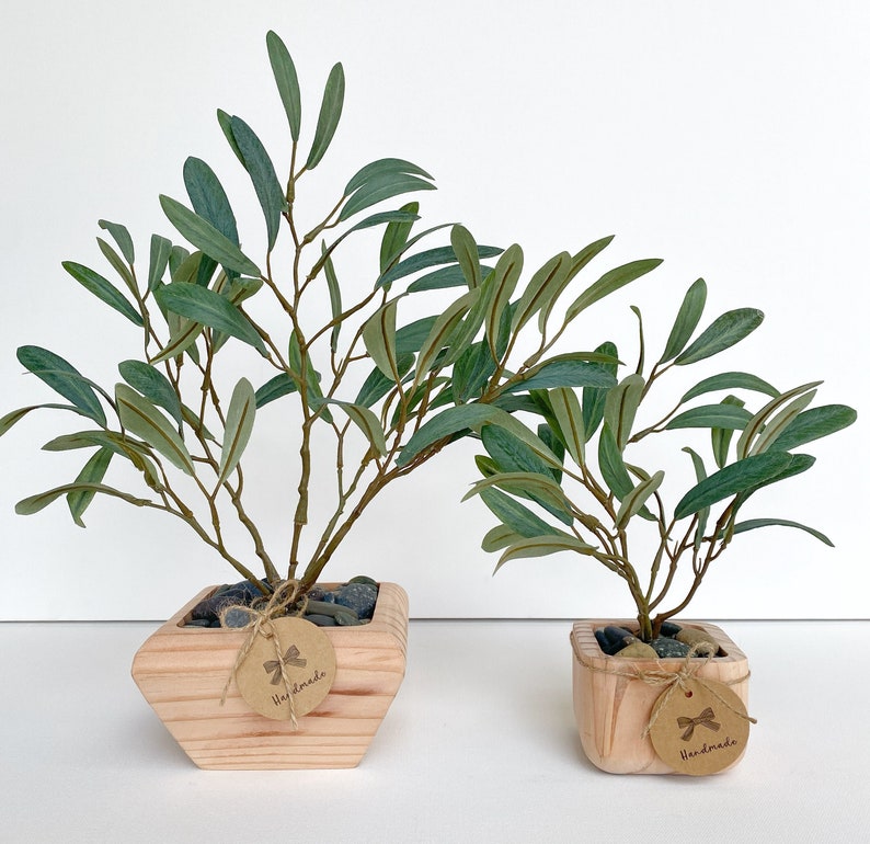 May include: Two potted olive trees in wooden planters with a brown paper tag that says "Handmade".