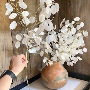 May include: A vase filled with dried white flower stems with delicate papery leaves. The vase is a rustic brown color and is sitting on a white surface. The text "1 Stem = $14.95" is written below the vase.