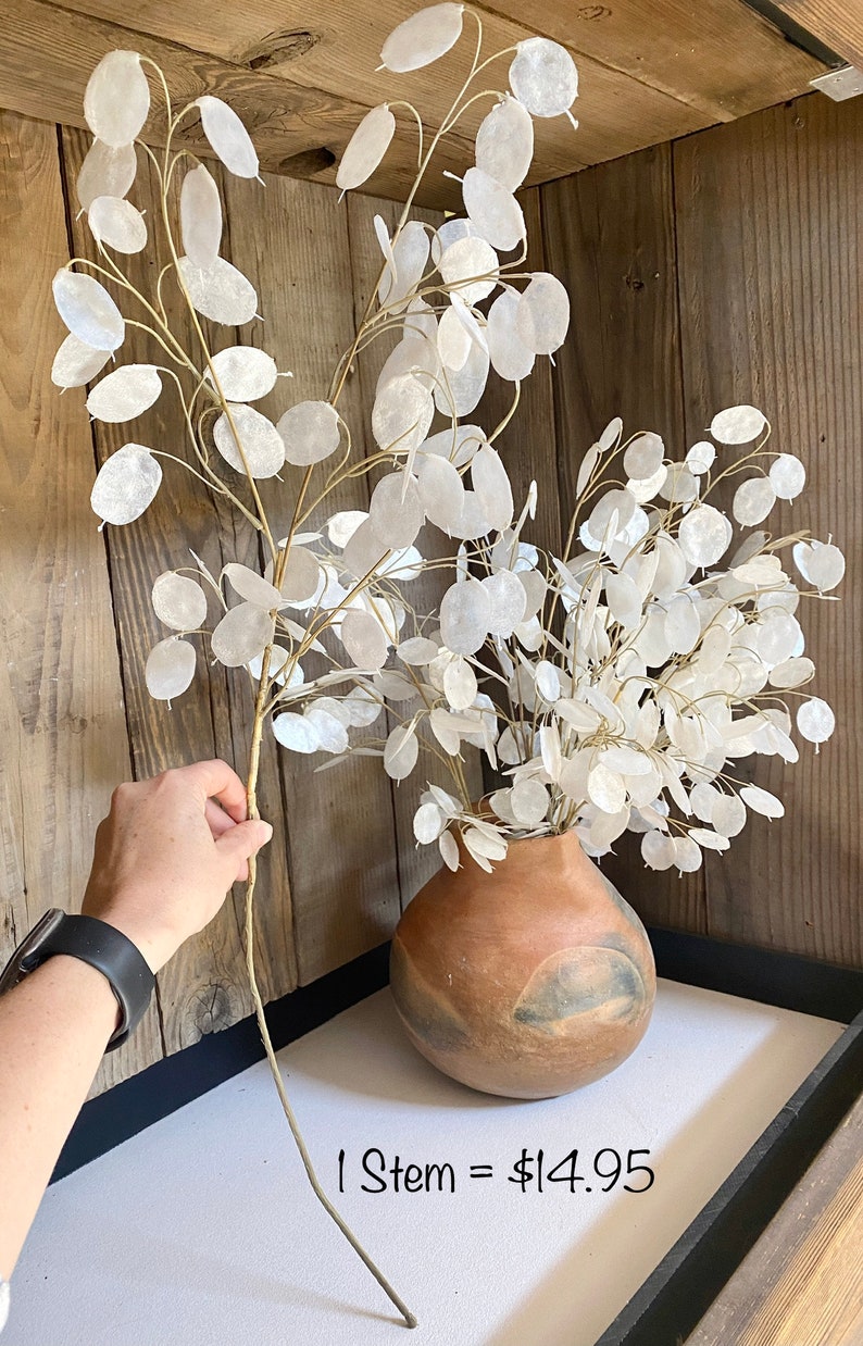 May include: A vase filled with dried white flower stems with delicate papery leaves. The vase is a rustic brown color and is sitting on a white surface. The text "1 Stem = $14.95" is written below the vase.