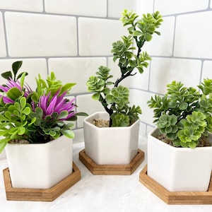 Könnte beinhalten: Drei weiße sechseckige Keramik-Blumentöpfe mit Holzsockeln, jeder mit einer anderen Art von grüner Kunstpflanze. Die Pflanzen sind auf einer weißen gefliesten Oberfläche angeordnet.
