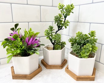 3 x Small Artificial Plant in white Hexagon Pot with Bamboo Tray, Floating Shelve Decor, Kitchen Counter Decoration, RV Decoration