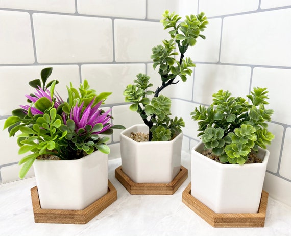 3 x pequeña planta artificial en maceta hexagonal blanca con bandeja de  bambú, decoración de estante flotante, decoración de mostrador de cocina,  decoración de RV -  México