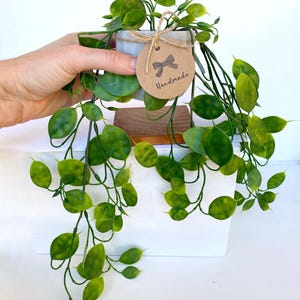 Puede incluir: Una peque&ntilde;a planta en maceta con hojas verdes que cuelgan de un soporte de madera. La maceta es blanca y tiene una etiqueta marr&oacute;n que dice "Handmade".