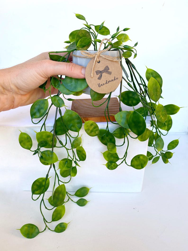 Puede incluir: Una peque&ntilde;a planta en maceta con hojas verdes que cuelgan de un soporte de madera. La maceta es blanca y tiene una etiqueta marr&oacute;n que dice "Handmade".