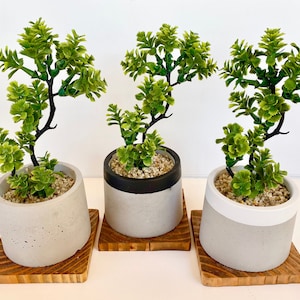 Artificial Bonsai Plant in a Handmade Concrete Pot with Wood Tray - Floating Shelf Decor, Kitchen Counter Deco, RV Decoration Fake Plant