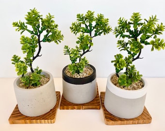 Artificial Bonsai Plant in a Handmade Concrete Pot with Wood Tray - Floating Shelf Decor, Kitchen Counter Deco, RV Decoration Fake Plant