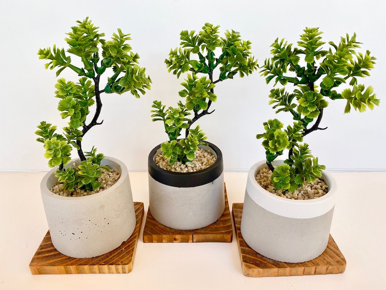 Artificial Bonsai Plant in a Handmade Concrete Pot with Wood Tray - Floating Shelf Decor, Kitchen Counter Deco, RV Decoration Fake Plant image 1