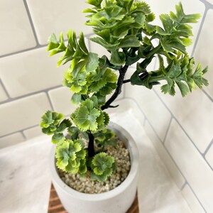 Artificial Bonsai Plant in a Handmade Concrete Pot with Wood Tray - Floating Shelf Decor, Kitchen Counter Deco, RV Decoration Fake Plant image 5