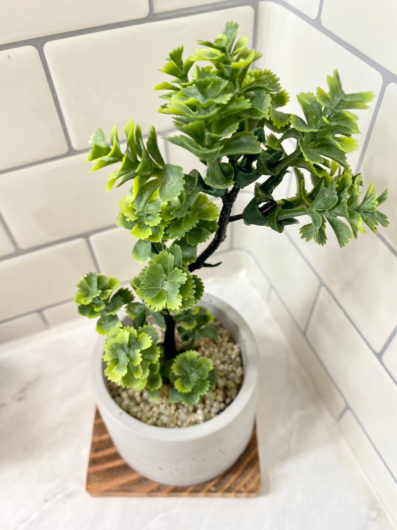 Artificial Bonsai Plant in a Handmade Concrete Pot with Wood Tray - Floating Shelf Decor, Kitchen Counter Deco, RV Decoration Fake Plant image 5
