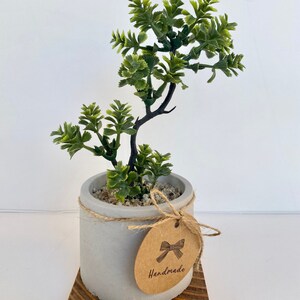 Artificial Bonsai Plant in a Handmade Concrete Pot with Wood Tray - Floating Shelf Decor, Kitchen Counter Deco, RV Decoration Fake Plant image 6