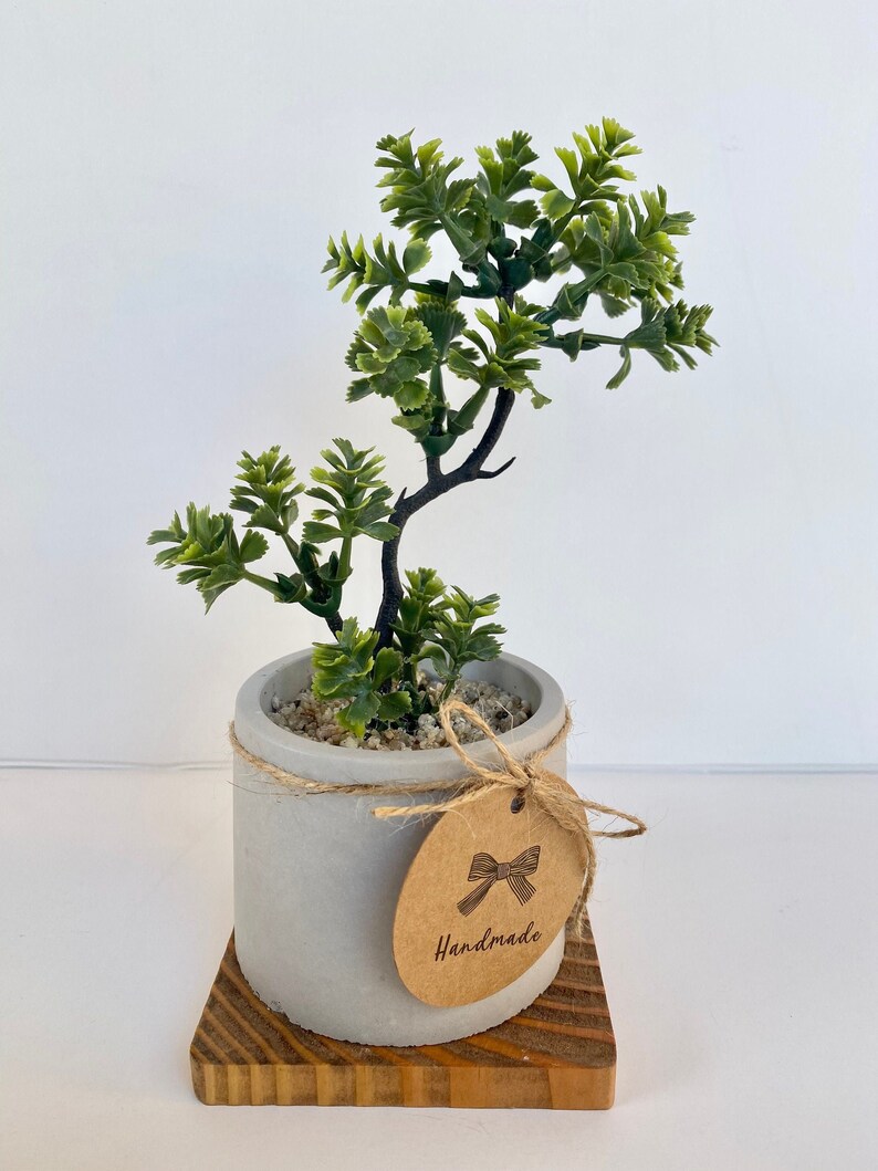 Artificial Bonsai Plant in a Handmade Concrete Pot with Wood Tray - Floating Shelf Decor, Kitchen Counter Deco, RV Decoration Fake Plant image 6