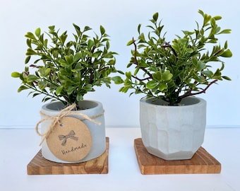 Artificial Mini Tree in handmade Concrete Pot with Wood Tray - Fake Plant - Floating Shelve Decor
