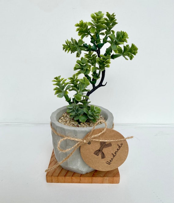 Artificial Bonsai Plant in a Handmade Textured Concrete Pot with Wood Tray - Floating Shelf Decor Faux Plant - Fake Bonsai Tree