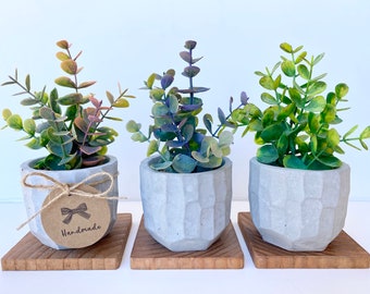 Set of 2 MyGift Set of 3 Artificial Plants Faux Tabletop Greenery w/Clear Glass Pots & MyGift 4-Inch Cobalt Blue Ceramic Floral Embossed Succulent Planter Pots 