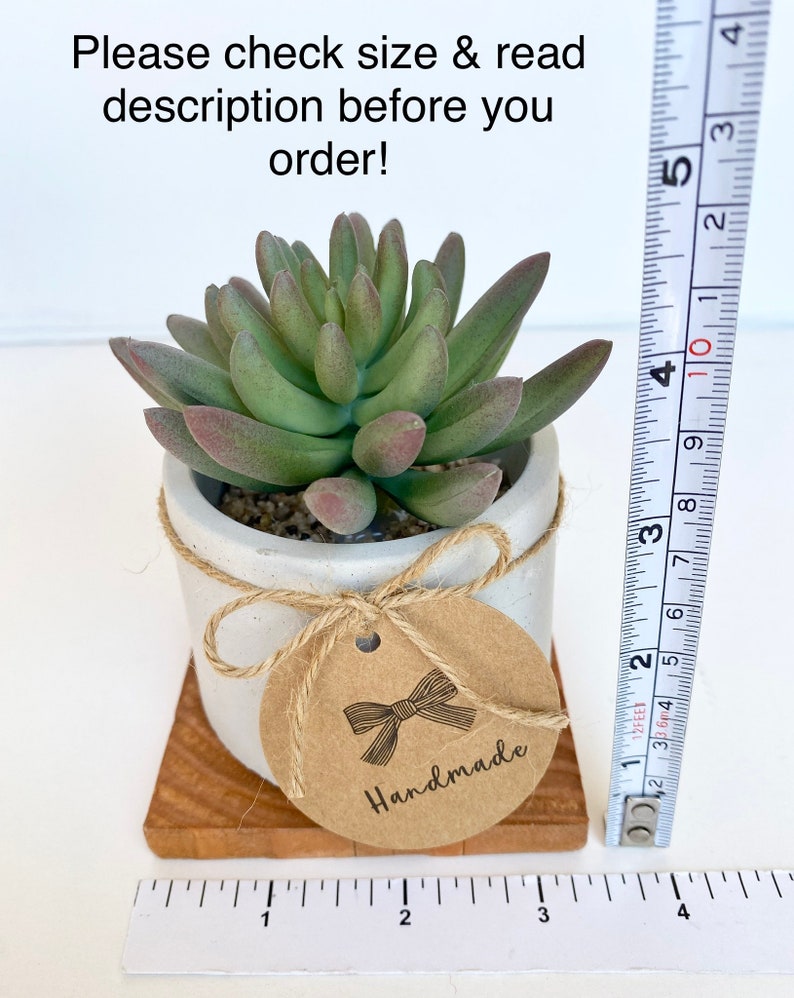 May include: A small succulent plant in a white pot tied with twine, sitting on a wooden base. The plant has green and red-tipped leaves. A tag with a bow illustration and the word "Handmade" hangs from the pot. The plant measures approximately 4 inches tall.