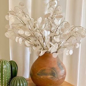 May include: A terracotta vase with a rustic finish holds a bouquet of dried white flowers with delicate stems. The vase has a wide, round base and a narrow neck. The flowers are arranged in a loose, natural style.
