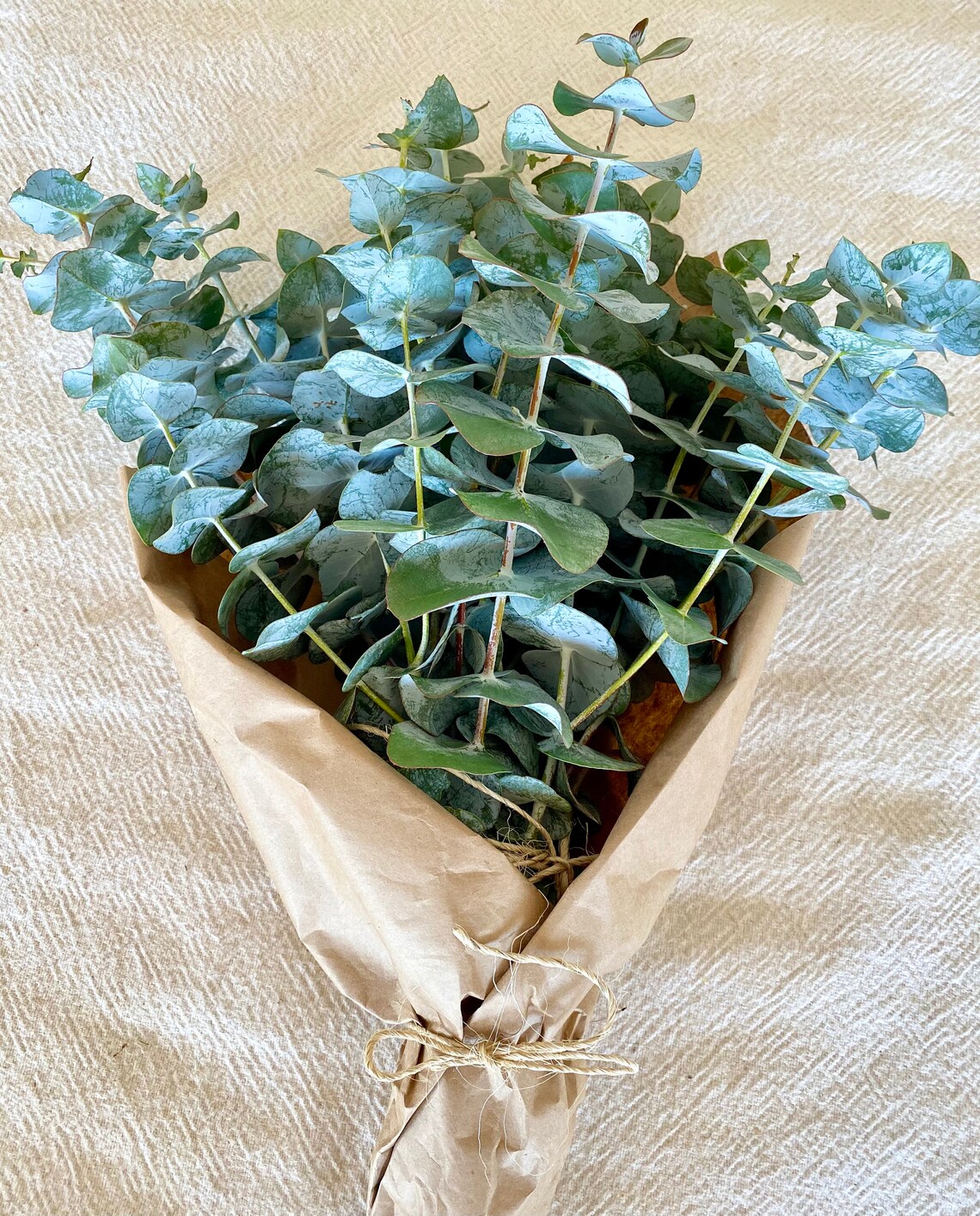 Fresh Eucalyptus Bunch Aromatic Scent Eucalyptus Bouquet Etsy