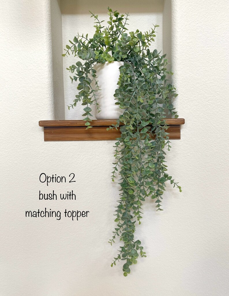 May include: A white ceramic vase with a leafy green plant cascading down from it. The vase is sitting on a wooden shelf. The text "Option 2 bush with matching topper" is written below the shelf.