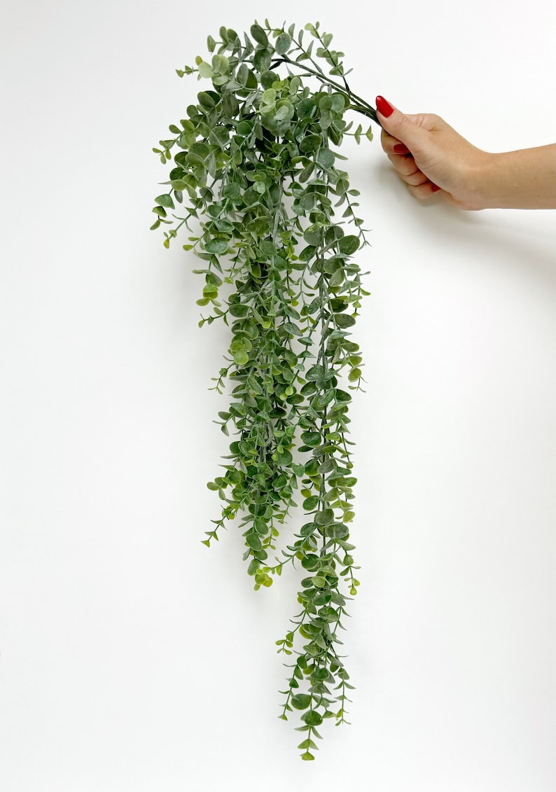May include: A long strand of artificial eucalyptus greenery with small, green leaves hanging down. The greenery is held by a hand with red nail polish.