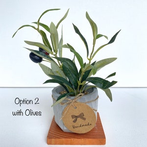 May include: A small potted olive plant with green leaves and black olives. The plant is in a grey concrete pot with a brown paper tag that says "Handmade" with a black bow.