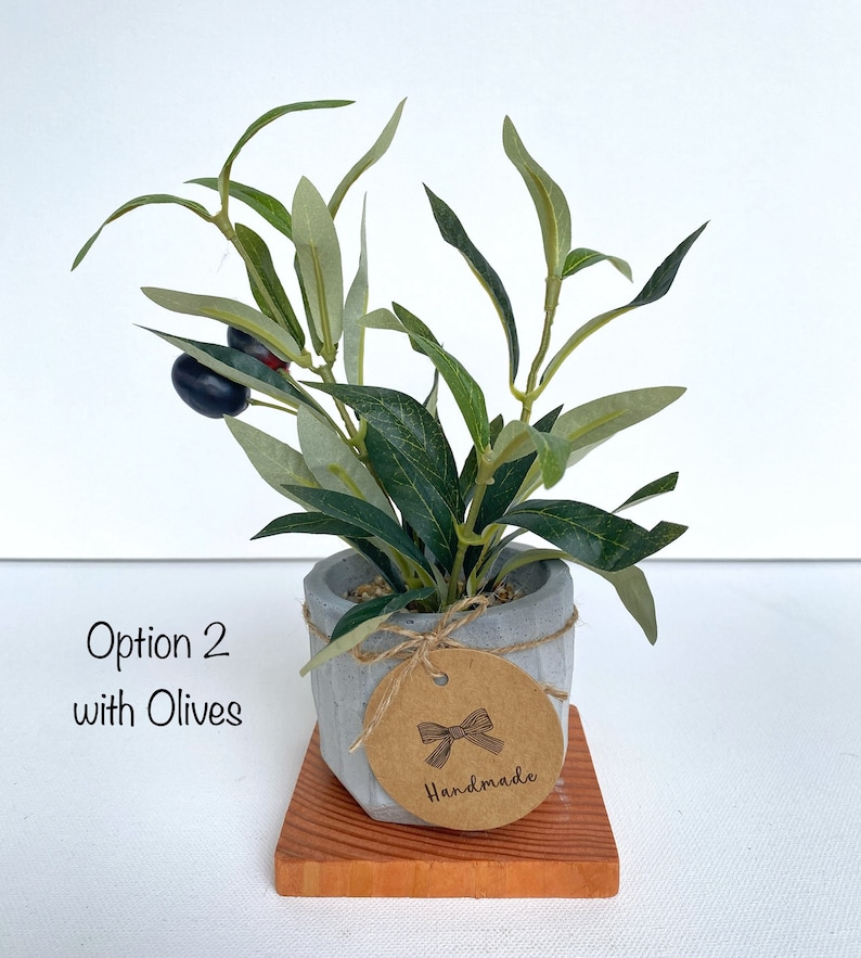 May include: A small potted olive plant with green leaves and black olives. The plant is in a grey concrete pot with a brown paper tag that says "Handmade" with a black bow.