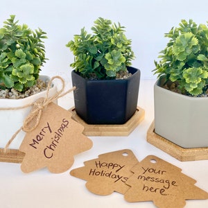 May include: Three small hexagonal potted plants with green foliage. The pots are white, black, and gray. Each pot sits on a wooden hexagonal base. The plants are decorated with brown paper gift tags with handwritten messages: "Merry Christmas", "Happy Holidays", and "Your message here..."