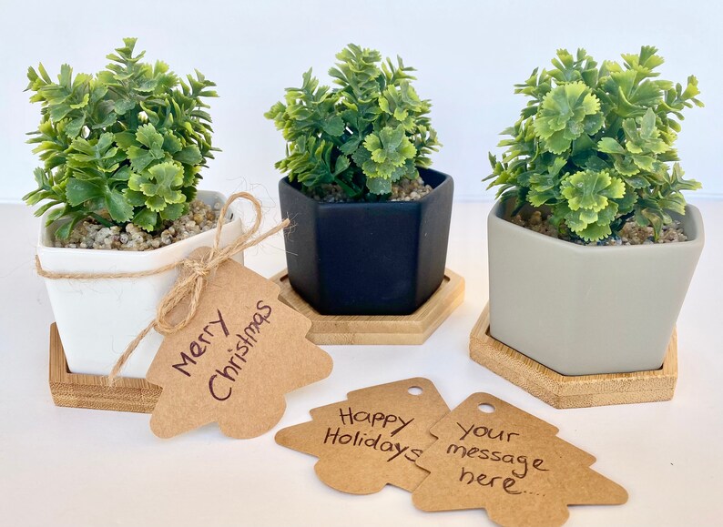 May include: Three small hexagonal potted plants with green foliage. The pots are white, black, and gray. Each pot sits on a wooden hexagonal base. The plants are decorated with brown paper gift tags with handwritten messages: "Merry Christmas", "Happy Holidays", and "Your message here..."