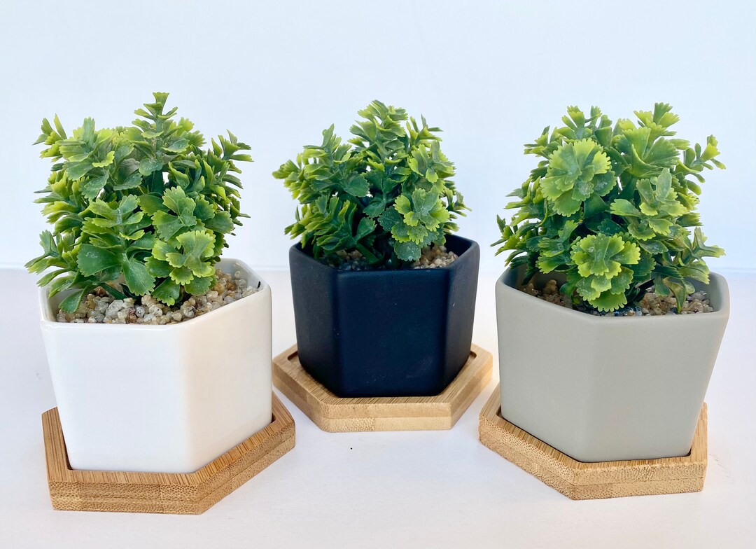 Small Artificial Plant in White, Black or Grey Hexagon Pot With Bamboo