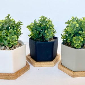 Petite plante artificielle dans un pot hexagonal blanc, noir ou gris avec plateau en bambou - parfait petit cadeau, décoration pour petit espace, jolie plante