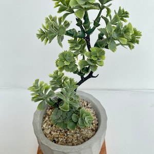 May include: A small, potted artificial succulent plant with green leaves in a gray concrete pot with a textured surface. The pot is sitting on a small wooden base.
