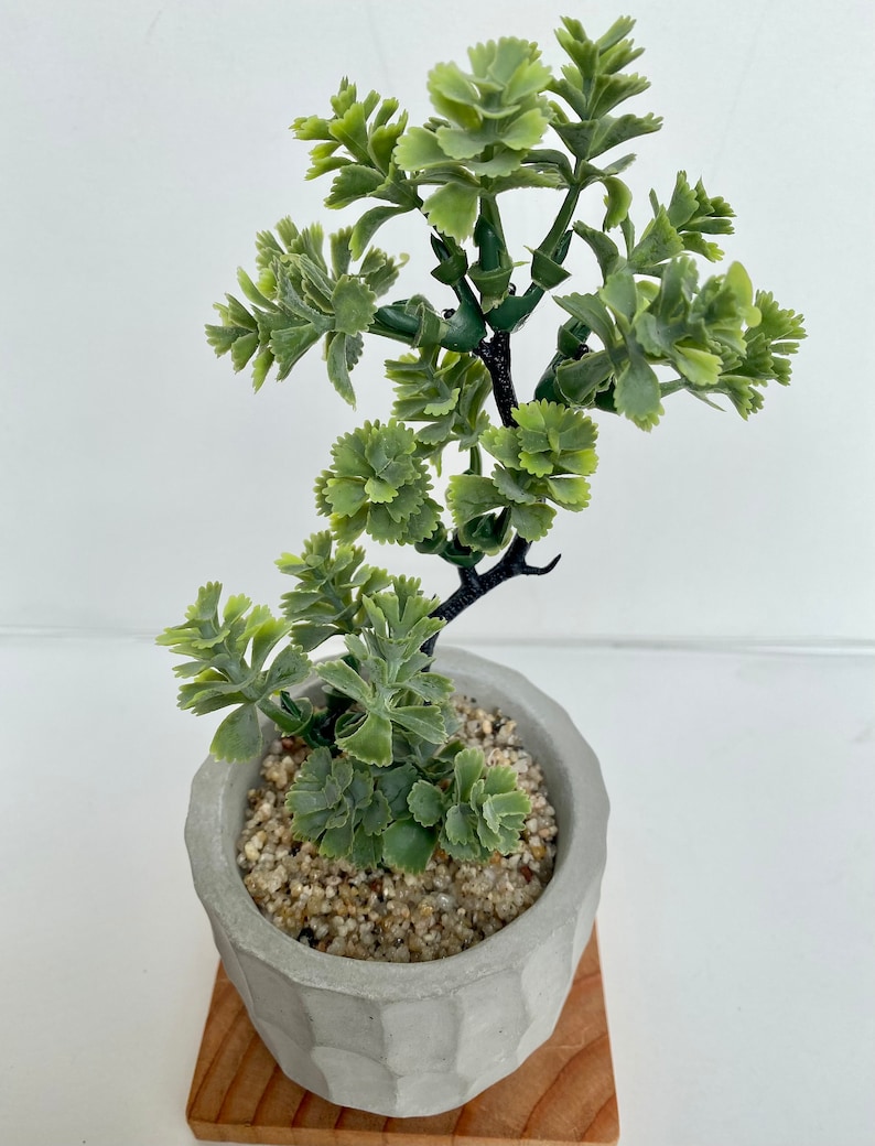 May include: A small, potted artificial succulent plant with green leaves in a gray concrete pot with a textured surface. The pot is sitting on a small wooden base.
