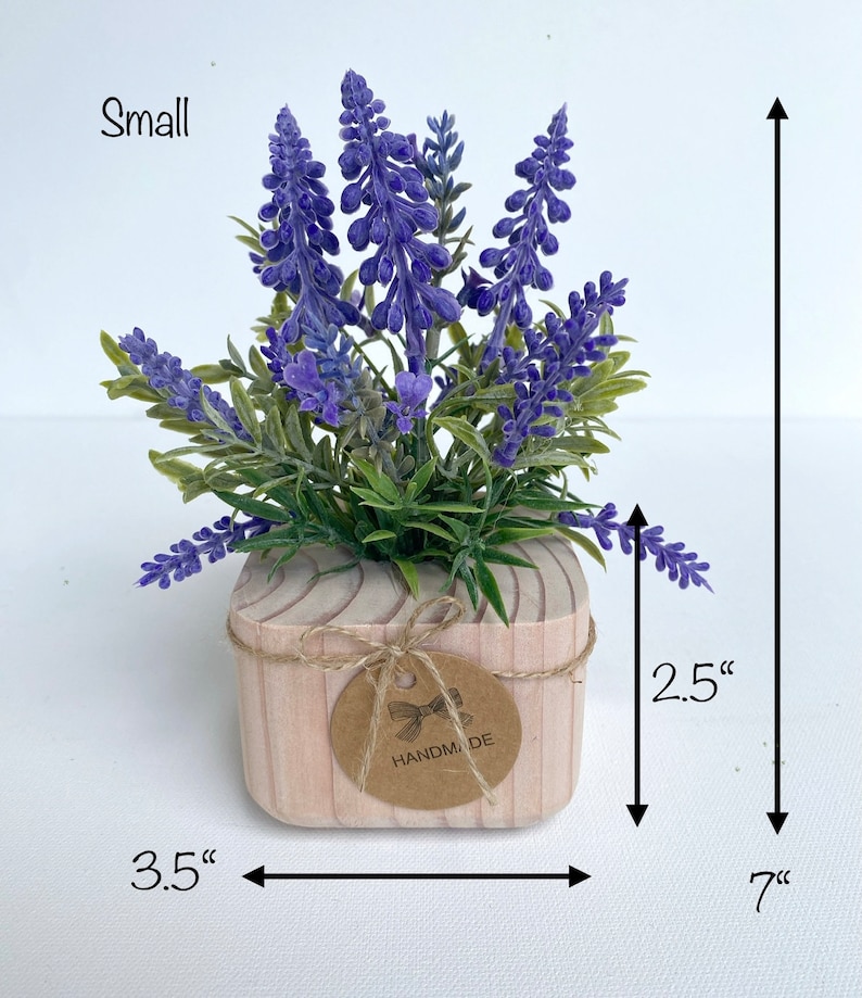 K&ouml;nnte beinhalten: Eine kleine Lavendelpflanze in einem Holztopf mit einem handgefertigten Etikett. Die Pflanze ist 17,8 cm hoch und der Topf ist 8,9 cm breit und 6,4 cm hoch.