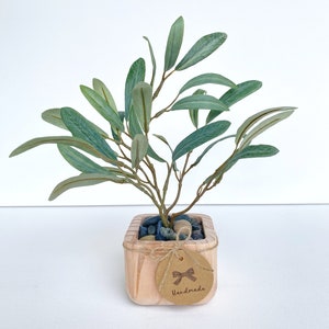 May include: A small potted olive tree with green leaves in a wooden square planter. The planter has a brown paper tag tied around it with a brown ribbon and the word "Handmade" written on it.