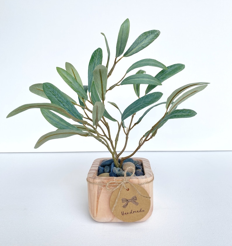 May include: A small potted olive tree with green leaves in a wooden square planter. The planter has a brown paper tag tied around it with a brown ribbon and the word "Handmade" written on it.