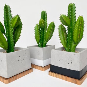 Artificial Cactus Plant in handmade Concrete Pot with Wood Tray - Floating Shelve Decor Fake Plant, Boho Desert Style Decor Faux Plant