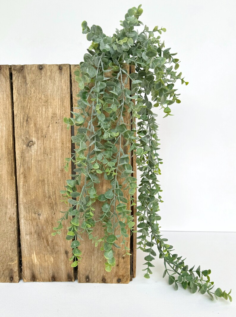 May include: A long strand of artificial eucalyptus greenery hangs over the edge of a wooden crate. The leaves are a light green color and have a slightly dusty texture.