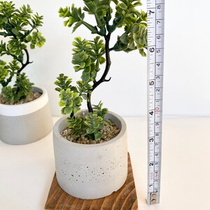 Artificial Bonsai Plant in a Handmade Concrete Pot with Wood Tray - Floating Shelf Decor, Kitchen Counter Deco, RV Decoration Fake Plant image 7