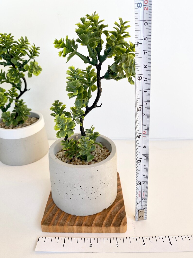 Artificial Bonsai Plant in a Handmade Concrete Pot with Wood Tray - Floating Shelf Decor, Kitchen Counter Deco, RV Decoration Fake Plant image 7