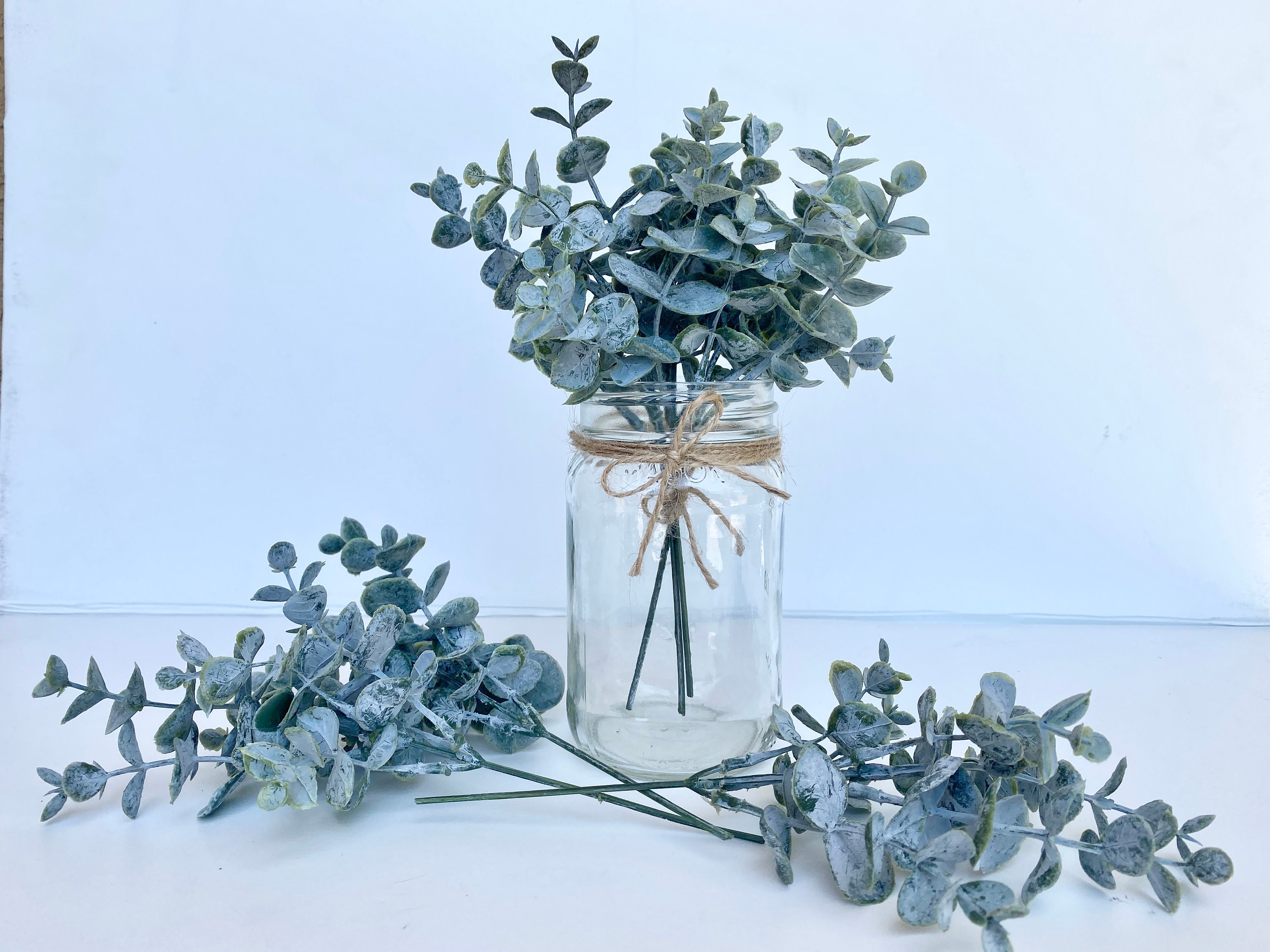Eucalyptus fake deals