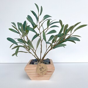 May include: A small potted olive tree with green leaves in a wooden planter. The planter has a square shape with rounded edges and a brown tag that says "Handmade".
