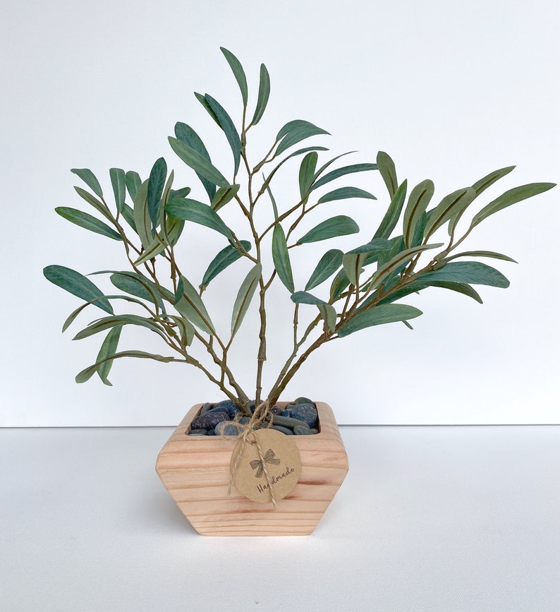 May include: A small potted olive tree with green leaves in a wooden planter. The planter has a square shape with rounded edges and a brown tag that says "Handmade".