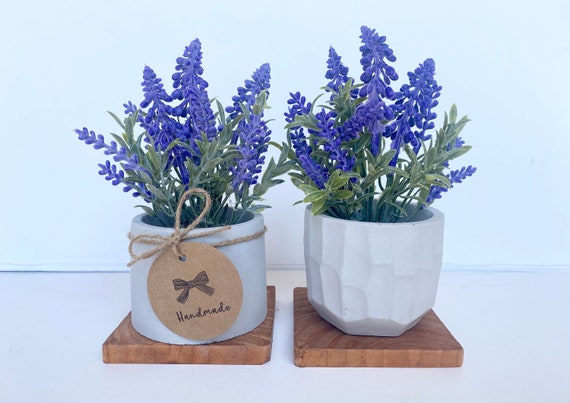 Knstliche Lavendelpflanze in handgefertigtem Betontopf mit Holztablett -  Kunstblumen - Schwimmendes Regaldekor - Etsy.de