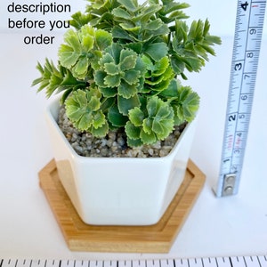 May include: A small artificial succulent plant in a white hexagonal pot with a wooden hexagonal base. The plant is approximately 3 inches tall and the pot is 2.5 inches wide. The plant is on a white surface with a ruler for scale.