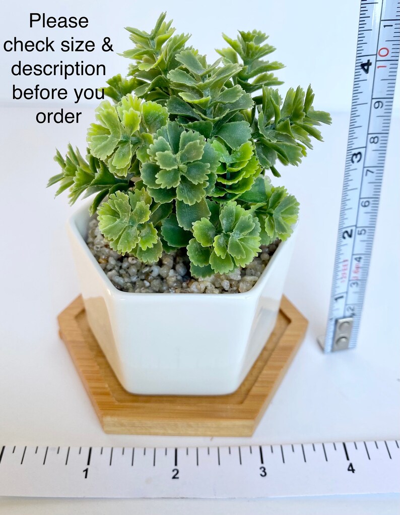 May include: A small artificial succulent plant in a white hexagonal pot with a wooden hexagonal base. The plant is approximately 3 inches tall and the pot is 2.5 inches wide. The plant is on a white surface with a ruler for scale.