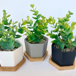 Small Artificial Eucalyptus Plant in white, black or grey Hexagon Pot with Bamboo Tray - perfect little gift, small space decor, cute plant